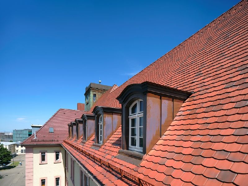 Hauptdach mit Gaupen (Quelle: Fotograf: Miguel Babo, Freiburg)